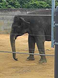 動物園