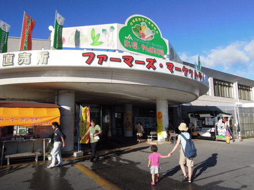 はい菜!やんばる市場