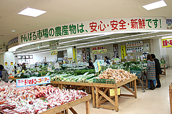 はい菜!やんばる市場