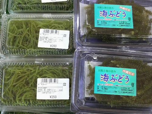はい菜!やんばる市場
