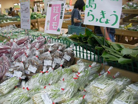 はい菜!やんばる市場