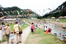奥ヤンバル鯉のぼり祭り