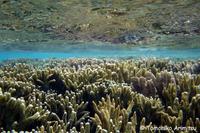 浦添西海岸開発計画Ⅱ