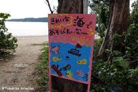辺野古の海2015年2月