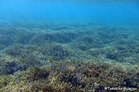 浦添の海の写真展開催
