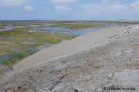浦添西海岸開発計画-Ⅲ