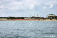辺野古の海草藻場