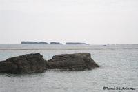 辺野古の海2015年2月