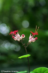 季節感7月下旬