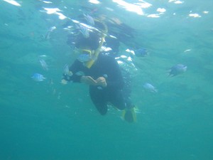 海好き集まれっ!!