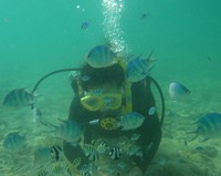 海好き集まれっ!!