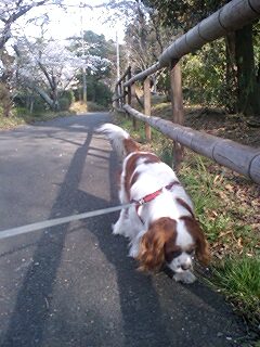 くしゃみ