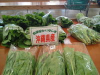 野菜いっぱい
