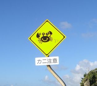 やっぱり夏が好き!