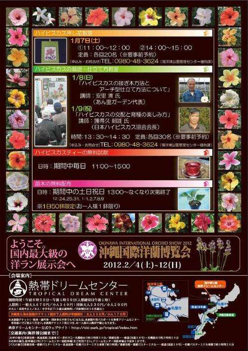 ハイビスカス展