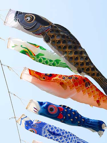 Carp Streamers