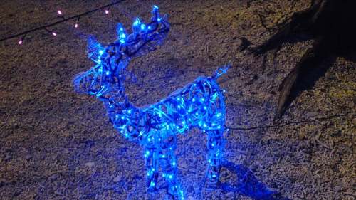 Xmas illuminations