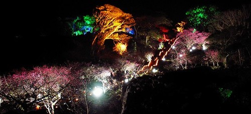 身近な世界遺産