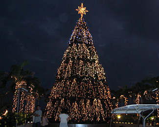 クリスマスの夜に・・・