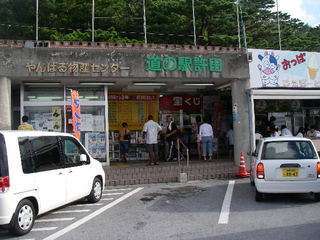 美ら海水族館