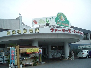 沖縄県産の果物はいかがでしょうか?