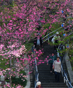 イベント