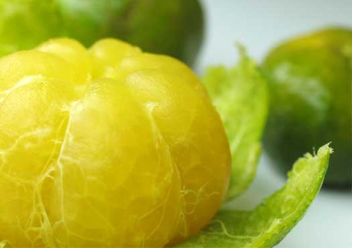Flat lemon