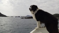 やっぱり晴れは気持ちイー!