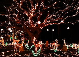 Xmas&夜市で過ごす2009年最後のクリスマスイベント