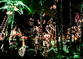 Xmas&夜市で過ごす2009年最後のクリスマスイベント