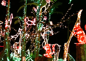 Xmas&夜市で過ごす2009年最後のクリスマスイベント