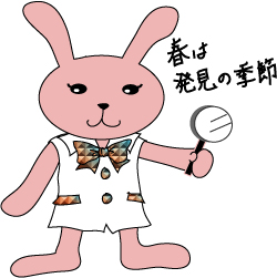 今日の発見
