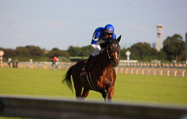 東京秋競馬2日目