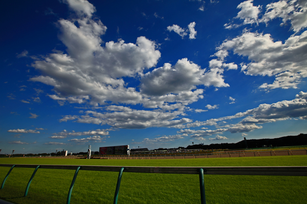 東京秋競馬2日目