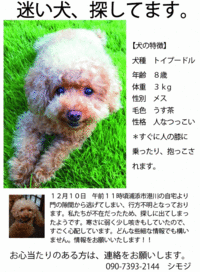 2011年12月13日