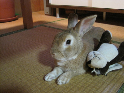 愛は激しい