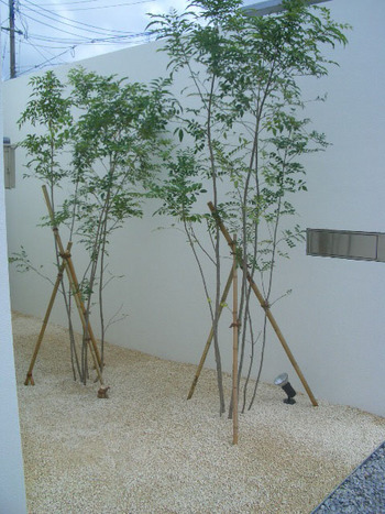 住宅見学会