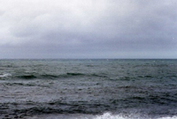 冬の海