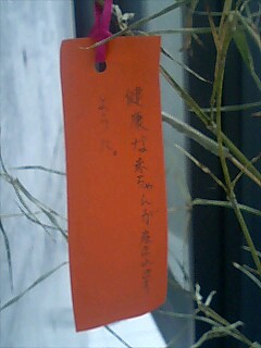 七夕&台風