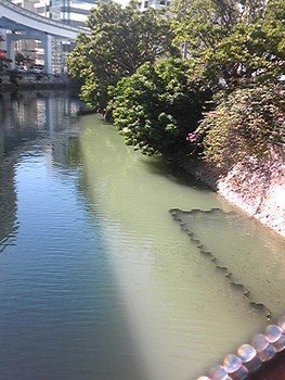 久茂地川