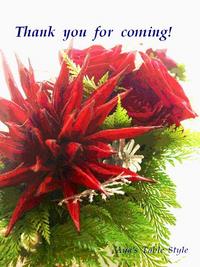 Thank you 2008/11/09 11:52:23