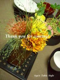 Thank you! 2008/11/18 23:04:24