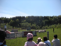 えこりん村のおもいで☆