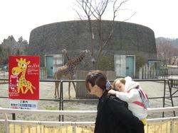 里帰り