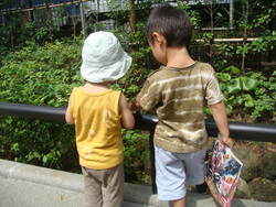 夏の装い