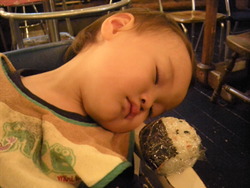 弱肉強食の世界で