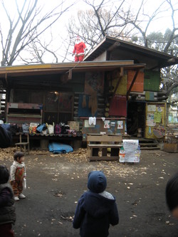 シオブタポトフ