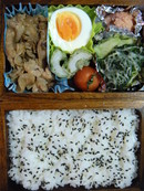 弁当ライフ