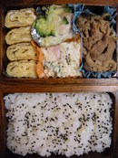 弁当ライフ