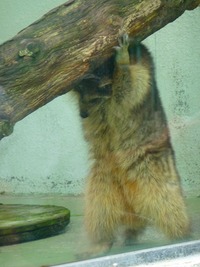 はじめまして!! 2011/06/02 19:45:52